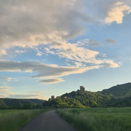 Le Chateau - Les Elfes *