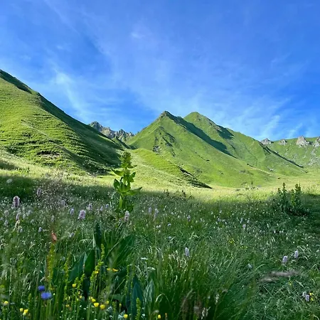 Le Chateau - Les Elfes Murol